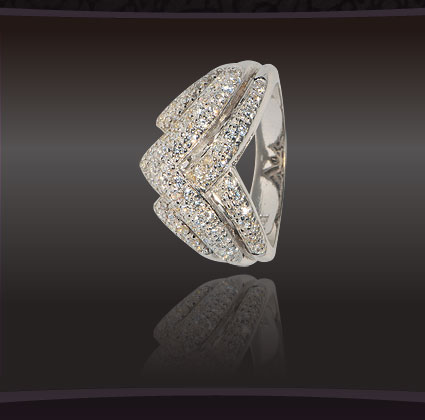 ring01